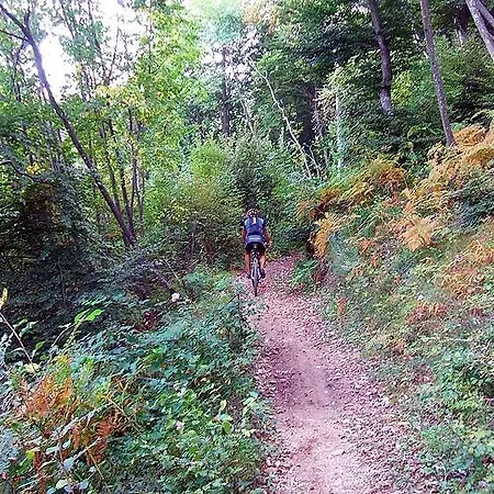 La Mola Maringalli *